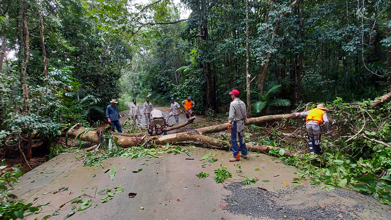 Trainees and rangers compelting training activities with the Yarrabah Group