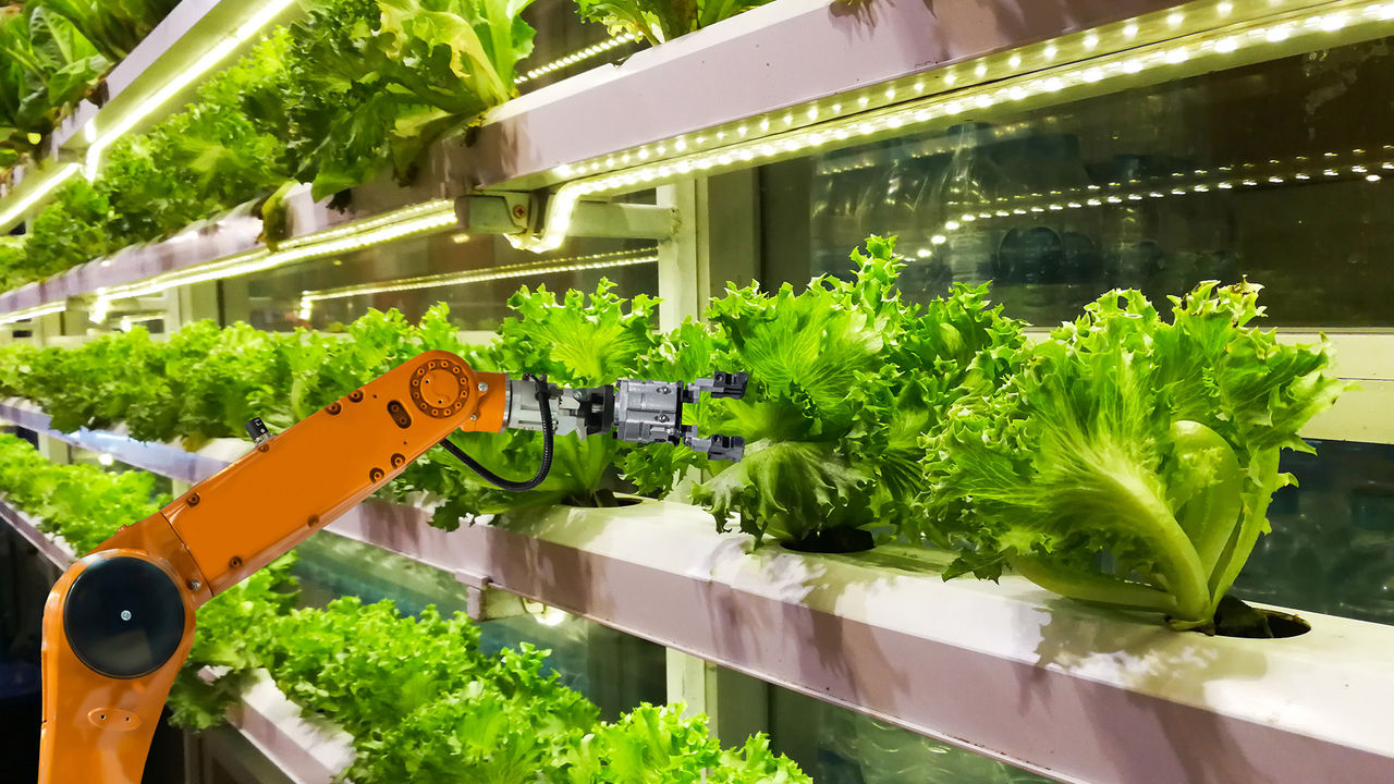 Smart robotic farmers in agriculture futuristic robot automation to vegetable farm
