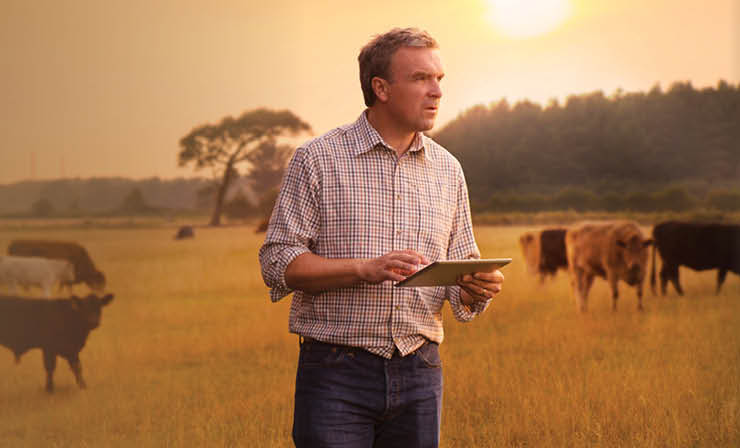 Diploma of Agribusiness Management