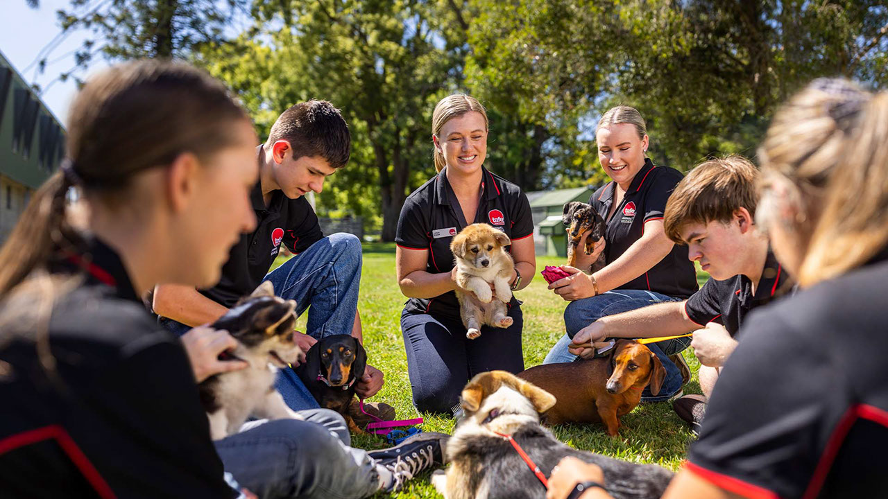 TAFE at School group completing animal studies training with dogs